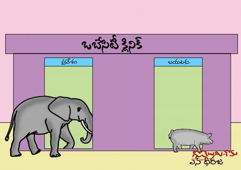 OBESITY CLINIC ELEPHANT AND PIG